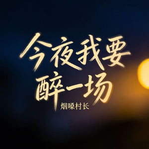 今夜我要醉一场