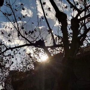 父辈爱情freestyle