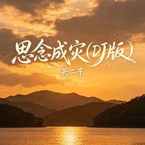 思念成灾(DJ版)