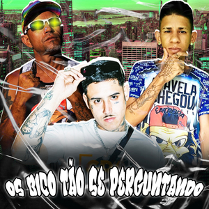 Os Bico Tão Se Perguntando