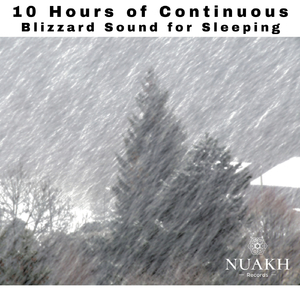 Blizzard Snowstorm Sounds for Sleeping, Pt. 01 (Continuous, No Gaps)