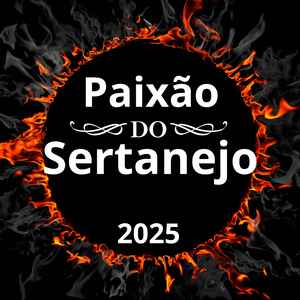 Amor montanha russa