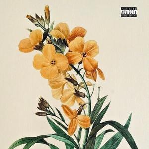 stankin'. (feat. Baby2x)