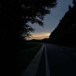 recalled（回忆起）