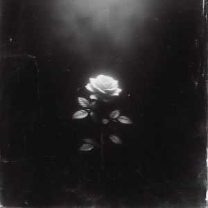 Твоей душой