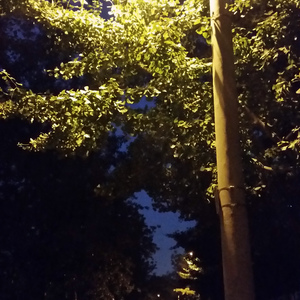 Connecting ☆ Natural Edition