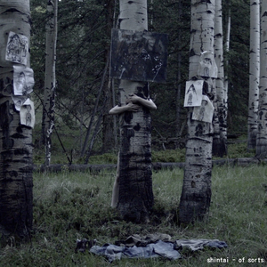 Above Tarryall Creek