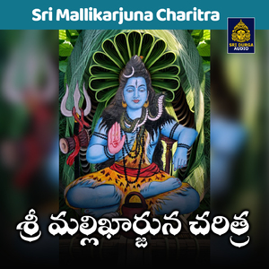 Srigiri Vasudammo Mallanna, Pt. 2