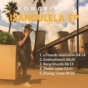 Skeem saam (feat. Young T.J Maya)