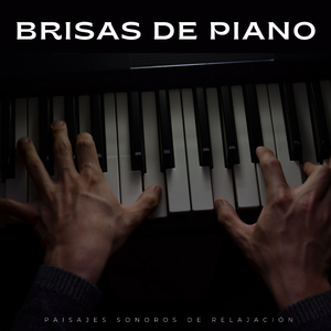 Estimulación De Staccato