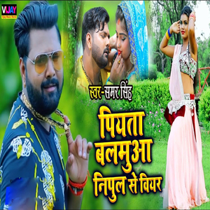 Piyata Balamua Nepul Se Bear