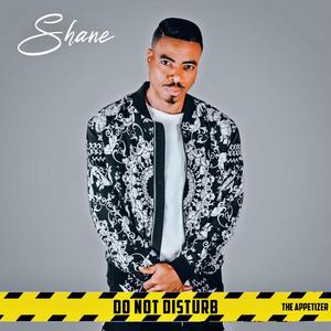 Falling In Love (feat. Money Zoe, Altrina Renee & Jelani) (Remix)