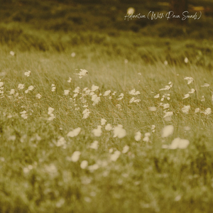 Adoration (with Rain Sounds)