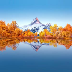 等你一分钟-花姐