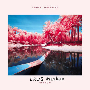 Zedd - Get Low(LKUS Mashup)