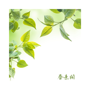 日落星辰 (大提琴)