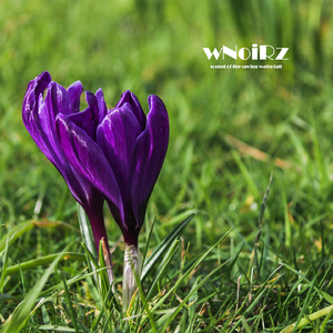 sound of the spring waterfall (Therapeutical Immersive Sounds)