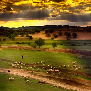 舒缓琴音与白噪音引你入眠