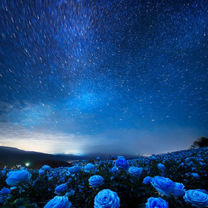 夜空