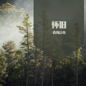 梦里看花demo 伴奏