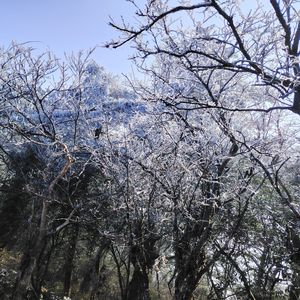静水无澜