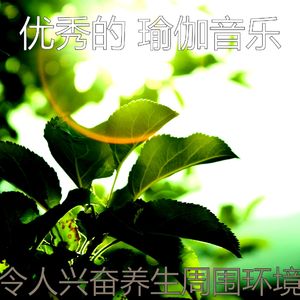 抚慰的养生回忆