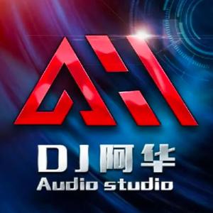 周星星-毒药(Dj阿华 Electro Rmx)（DJ remix）