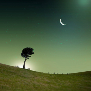 好好休息 (催眠曲5分钟入睡)