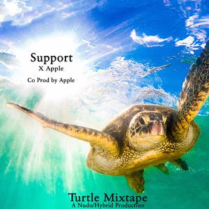 Support (feat. Apple)