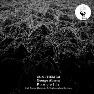 Propolis (Turbokitchen Remix)