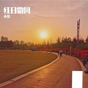 红日微风