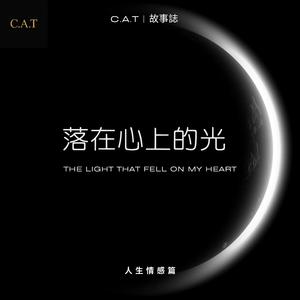 落在心上的光 (The Light That Fell On My Heart)