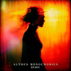 Altres Monocromies (Remix)