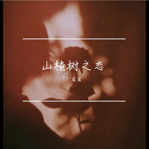 山楂树之恋