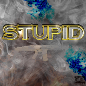 Stupid