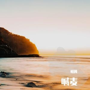 我有孤独和烈酒