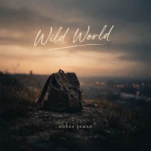 Wild World (Instrumental version)