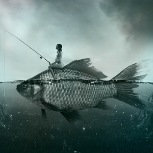 Big Fish (Original Mix)