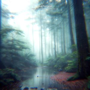 The Colours and Rains