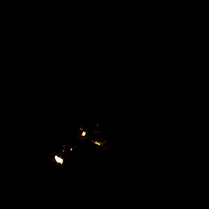 a flower is not a flower