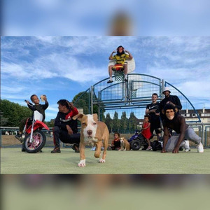 L'argent fait pas le bonheur