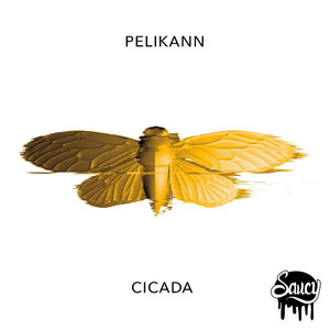 Cicada (Original Mix)