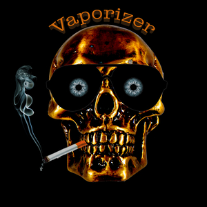 Vaporizer