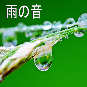 雨の音、パート19
