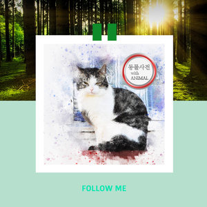 하림의 닭으로 다이어트하는 팻