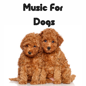 Music For Dogs