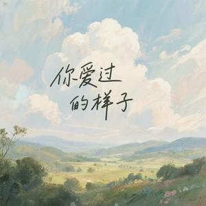 你爱过的样子