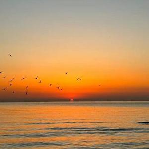 如果最后只剩我 (Cover 鹭卓)