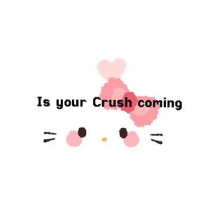 你的Crush降临了吗