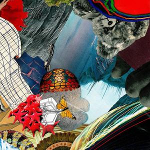 Aterrizaje Forzoso En El Paraíso